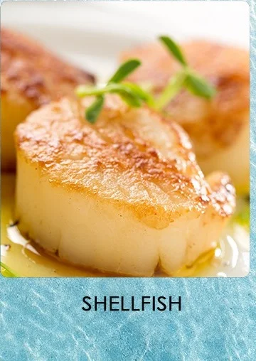 Shellfish.jpg