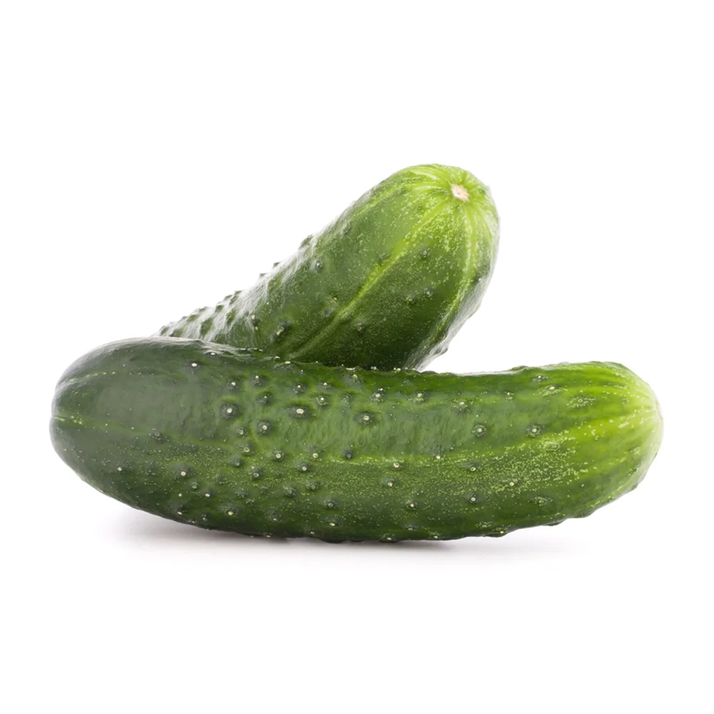 Premium quality gherkins 300g Italian food condiment in wine vinegar glass mason jars appetizer platters for export