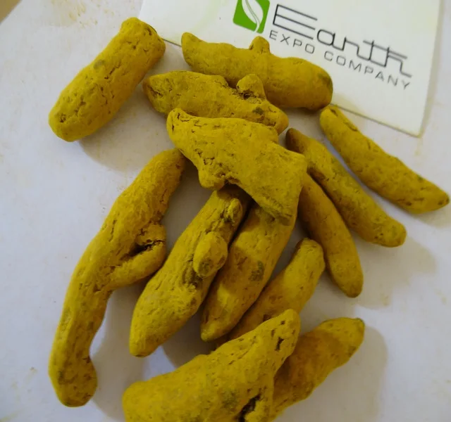 Turmeric finger Exceptional Seasonings & Condiments Highly Curated Spices & Herbs Widely Demanded Turmeric finger