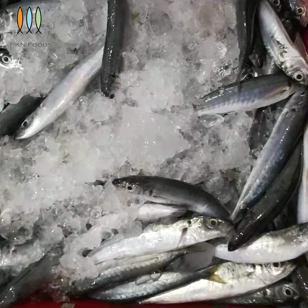 Nature Fresh Seafood Purse Seiner Whole Body Frozen IQF BLOCK Seasonal Decapterus Macrosoma Layang Scad