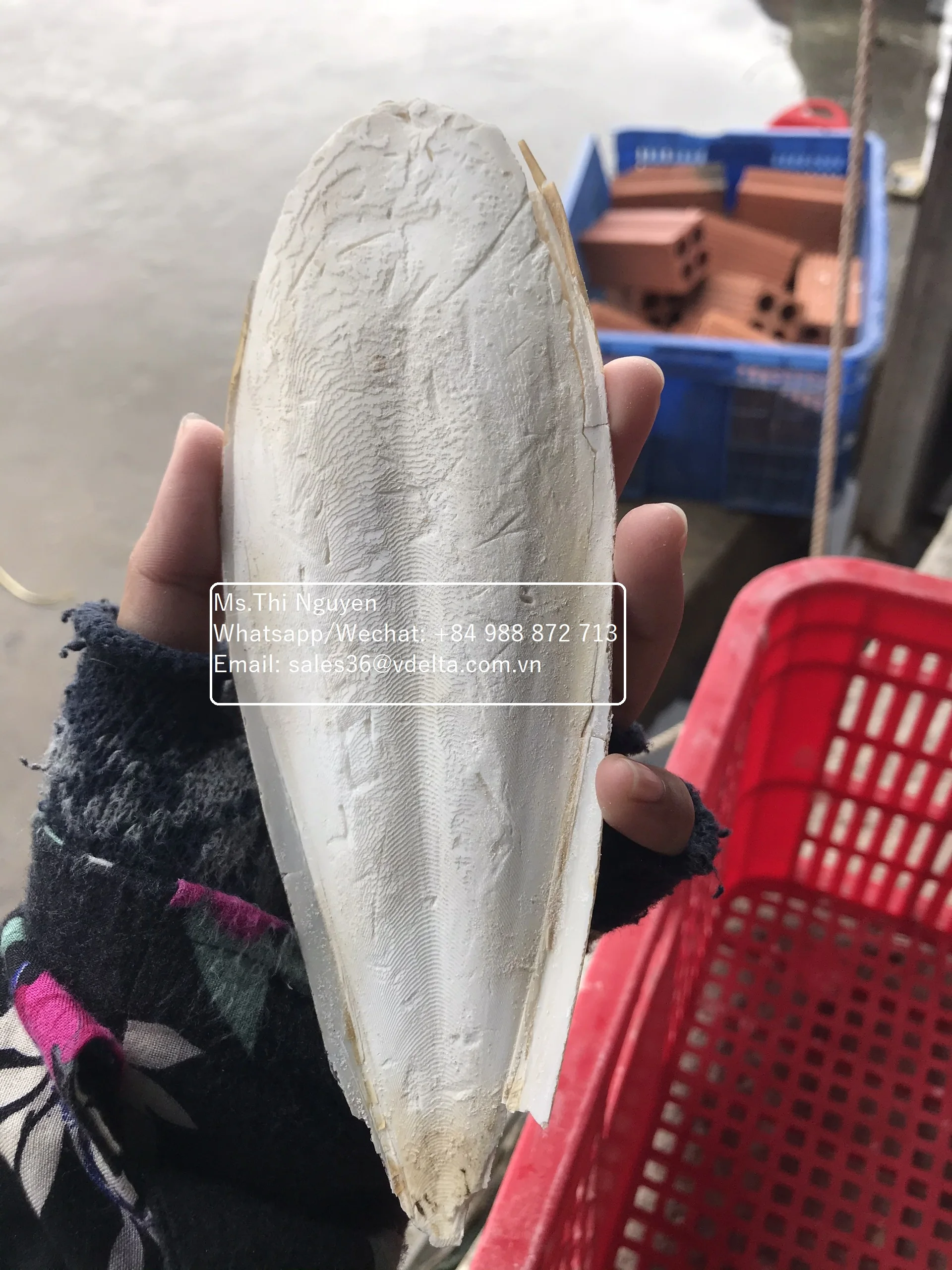 Высушенная мытая Рыбная кость-лучшая еда для птиц и животных/Ms.Thi Нгуен + 84 988 872 713