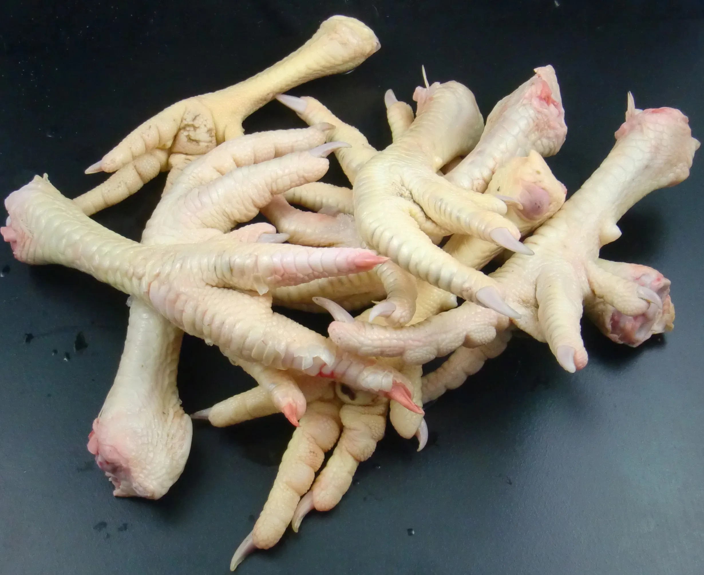 
Frozen Chicken Feet And Chicken Paw Manufacturers, Wholesale 