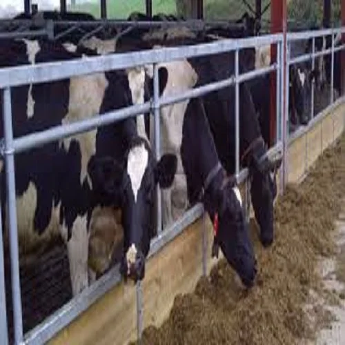  60% корм для животных твердый питательный диетический пирог из ядра пальмы корма курицы коровы овцы козы в текирдаге Турция