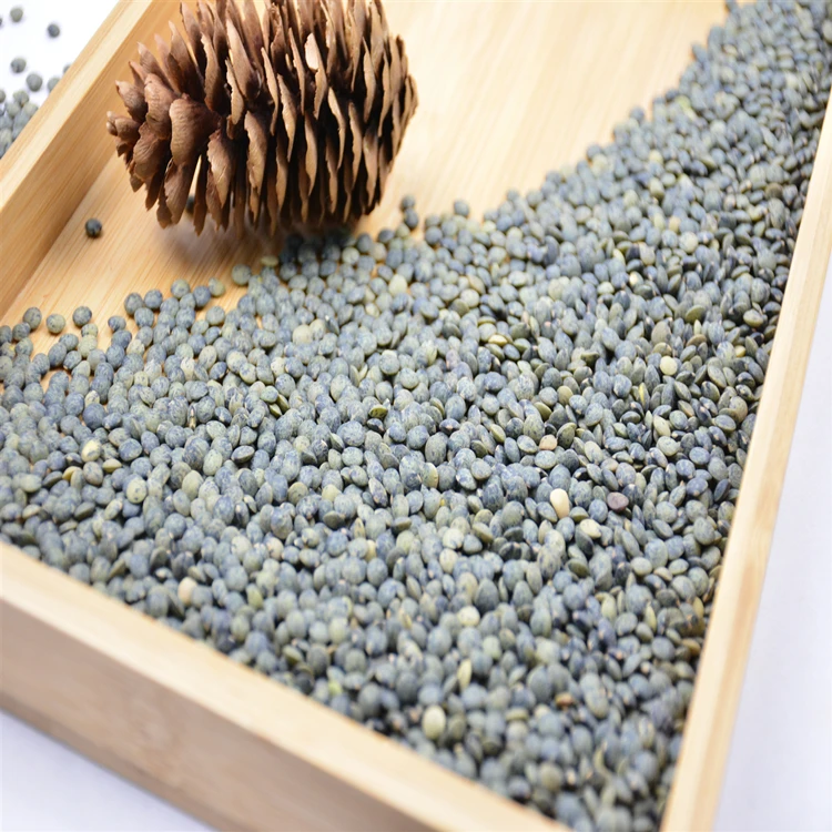 wholesale high quality green lentils