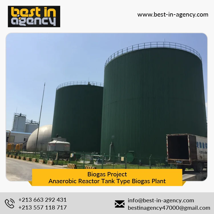 Biogas Project 20000 Nm3/Day Production Anaerobic Reactor Tank Type Biogas Plant Under EPC Mode