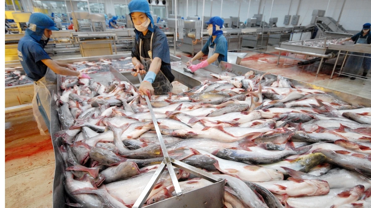 HOT SALE !!!! IQF Frozen WHOLE ROUND PANGASIUS FILLET fish seafood pangasius fillet Factory price from Viet Nam