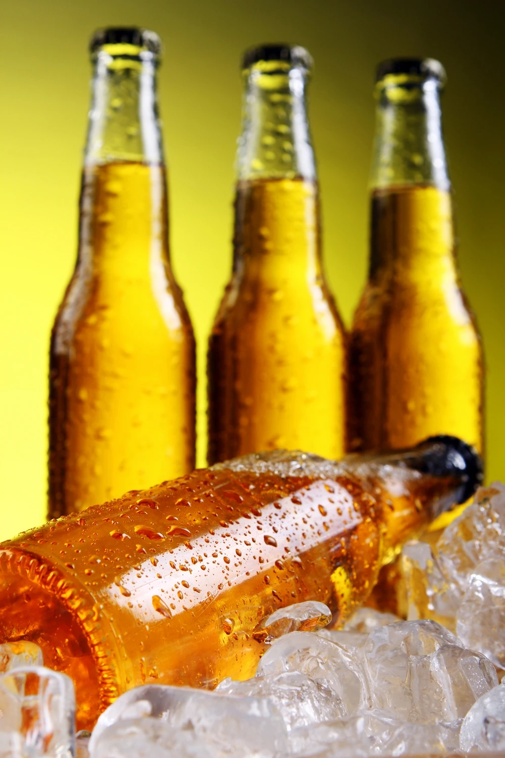 best bottle opener beer 2 years Shelf life