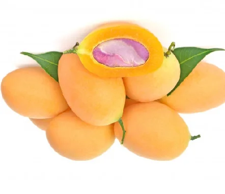 Pure and Natural Fresh Marian Plum