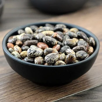 Продажа семян бобов касторов