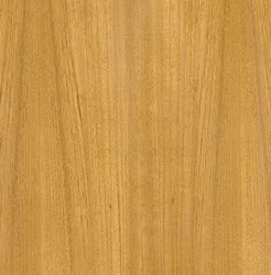 Exclusive Bench New Lengkung Solid Teak Wood for Garden Outdoor Furniture