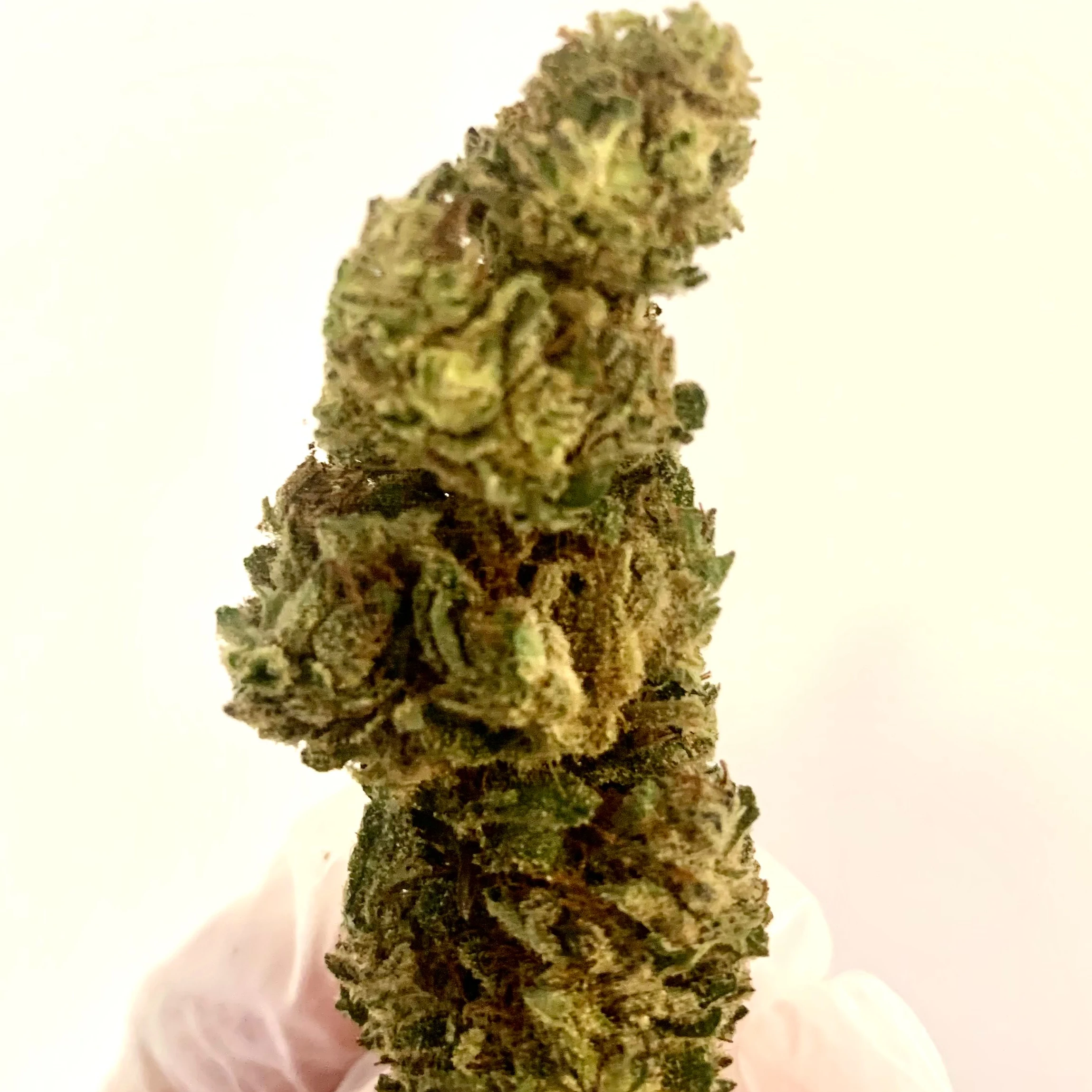 
CBD Flowers 