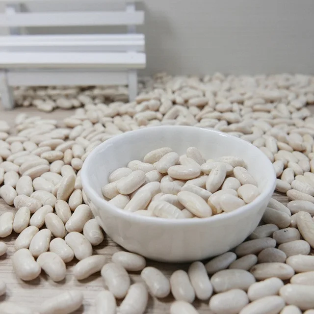 Quality White Butter Beans At Low Cost Bulk Price
