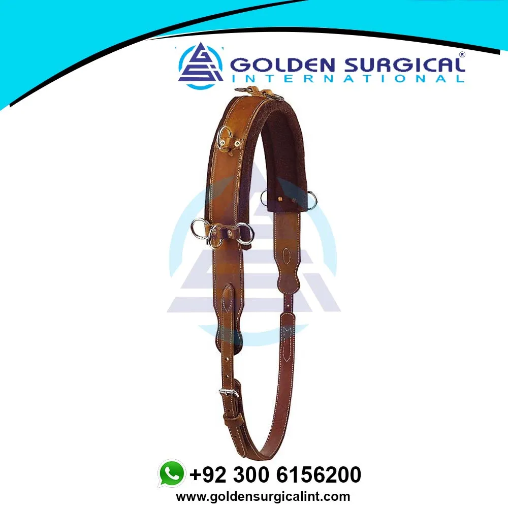 Жгут кожа 8-кольцо обучение гонки обхват и Surcingle профессиональный