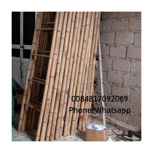 Supplier Natural Treated Stake Tonkin Bamboo poles and sticks / Bamboo canes materials for export sale in bulk 0084817092069 WS