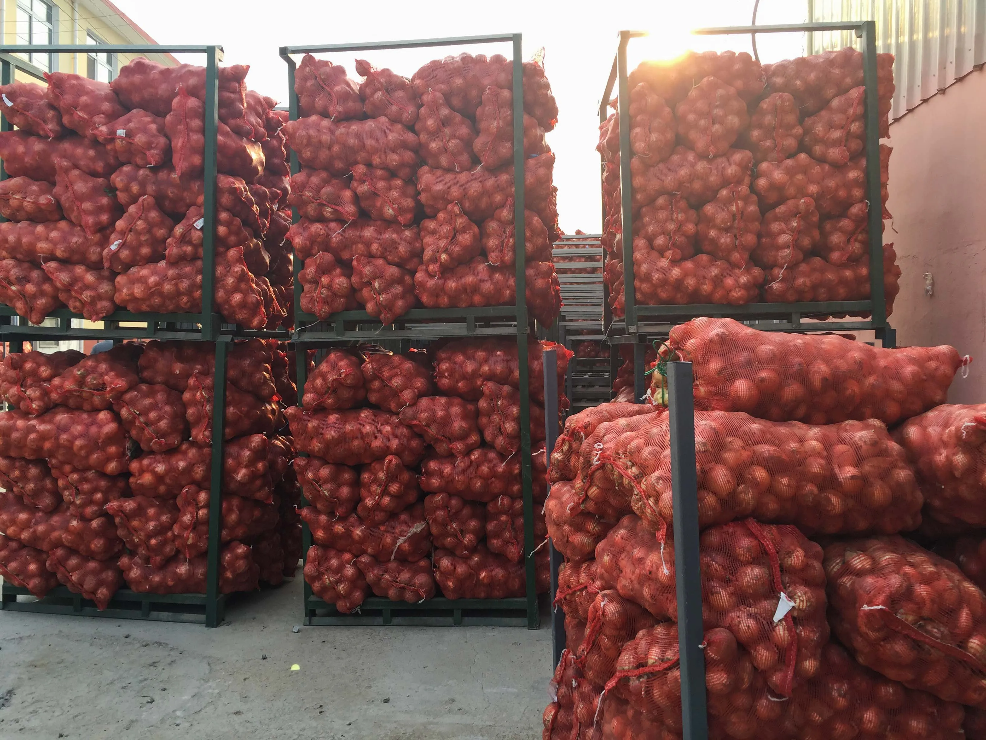 Onionfresh лук оптовая продажа свежий пухлый