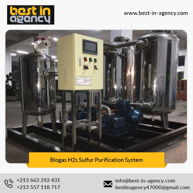 Stainless Steel 20~300 Nm3/H Moisture Desulfurization Scrubber Biogas H2s Sulfur Purification System