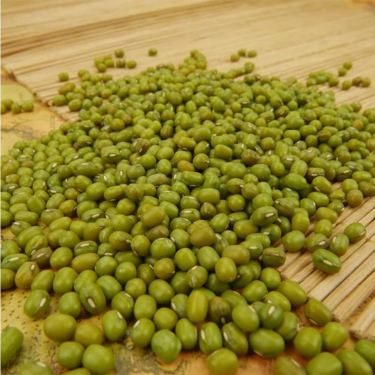 Wholesale Premium Quality Green Mung Beans Medium Grains
