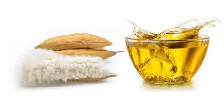 Cheap Kapok Seed Oil Indonesia Agriculture