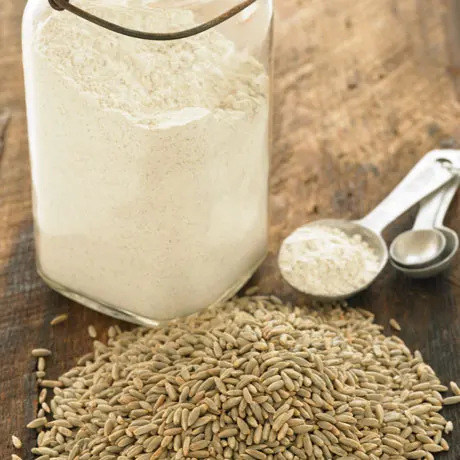 Pure Highest Quality Agriculture Grain Organic Rye for Bulk Purchase