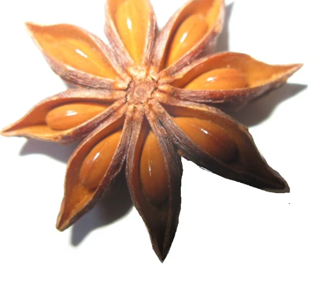 Bulk Star Anise Essential Oil 100% Pure Best Price Aromatherapy Vietnam Organic Natural  Oil Factory Heath care Scentoil