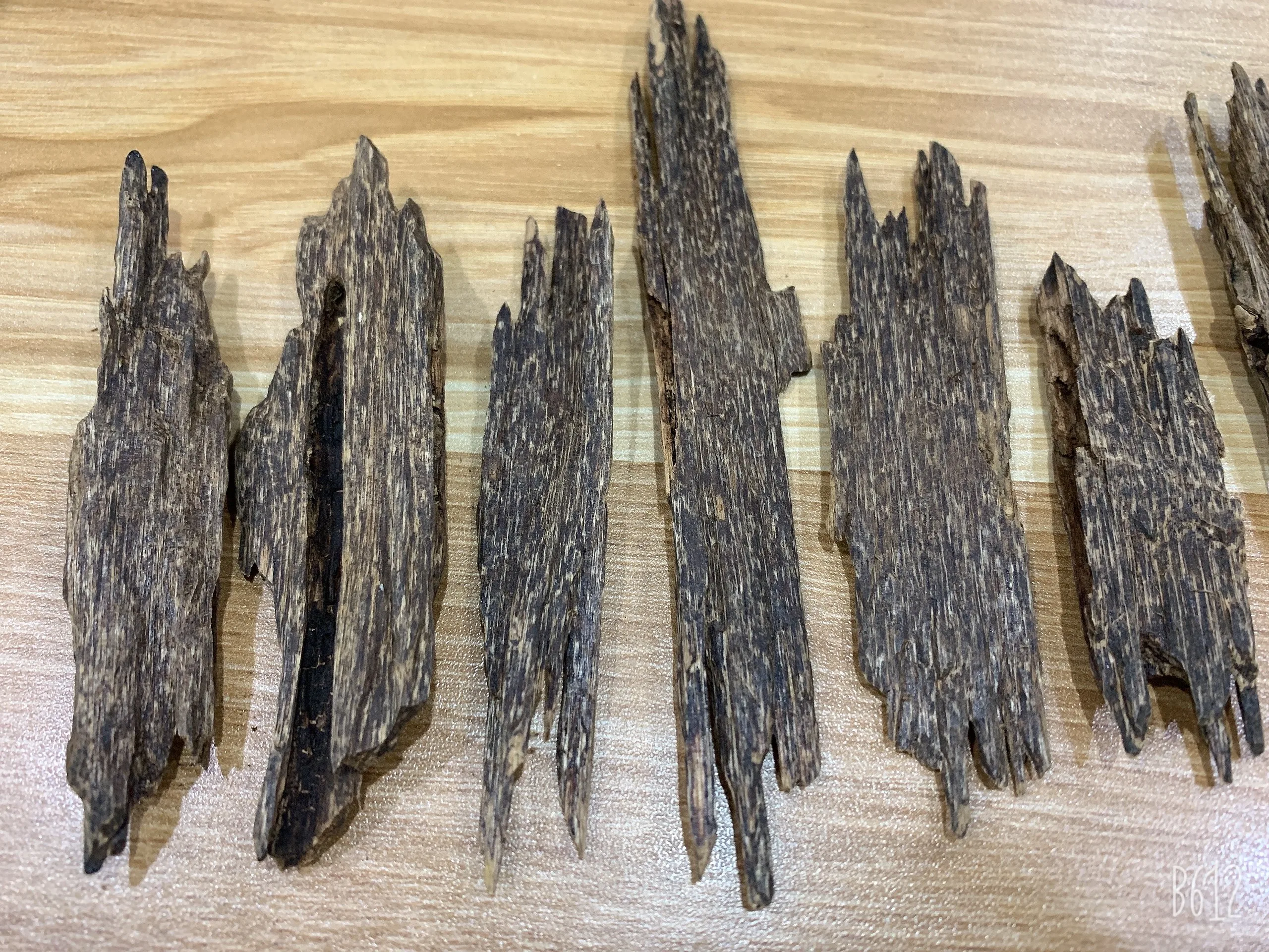NATURAL OUD CAMBODIA ANT OUD CHIP FOR BURNING DAILY HOME FROM VIETNAM WITH EXCELLENT QUALITY