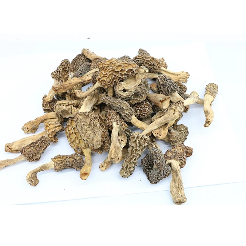 
Factory Supply Attractive Price Dry Mushroom Dried Morel Mushrom 