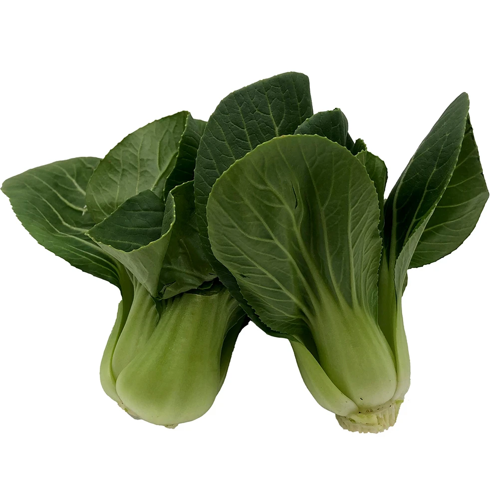 Imported Quality Super Fresh Cheap Price Box Packing Top Grade Selecting Other Fresh Vegetables Pak Choi Ready to Eat