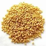 sorghum flour for sale red sorghum white sorghum kernel flour for sale