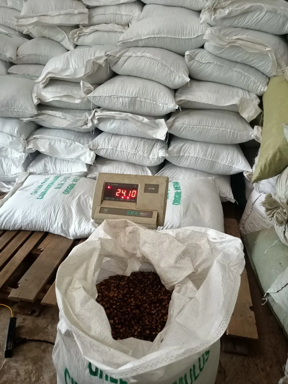 Cinnamon Twig / Ramulus Cinnamomi /Cassia Cinnamon Herb Tea