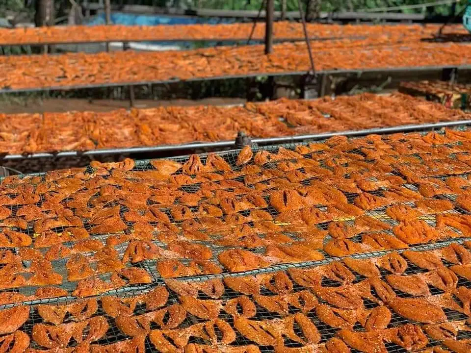 Высушенный красный захлопыватель большой размер стандарт экспорта заводская цена