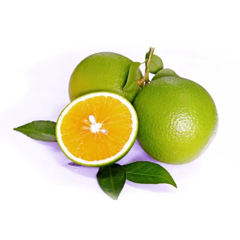 Top Grade Natural Fresh Fruit Fresh Orange Citrus Fruits From Vietnam