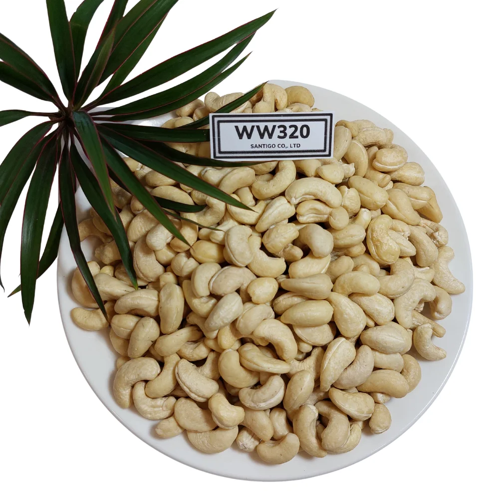 Hot Sale  2022 Cashew Nuts Original Kaju Badam Snack Raw Cashew Nuts