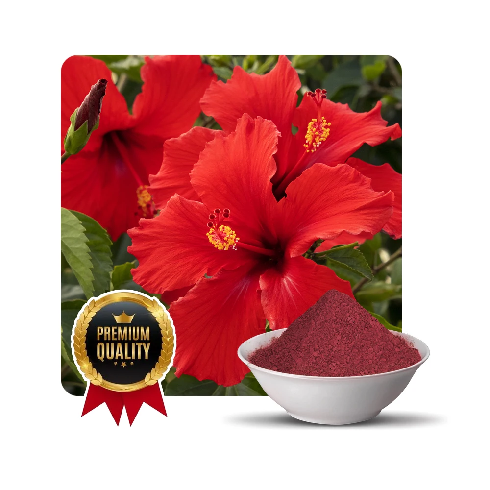 100% органический порошок цветов гибискуса индийские травы производитель экспортер из Индии в вакуумной