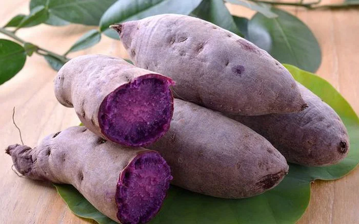 Свежий фиолетовый сладкий картофель 100% высококачественный органический экспорт сделано во Вьетнаме натуральный заводская цена
