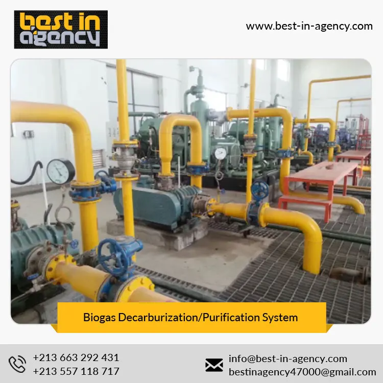 2*5, 000 Cubic Meters Nm3 Carbon Removal Biogas Upgrading/Decarburization/Purification System