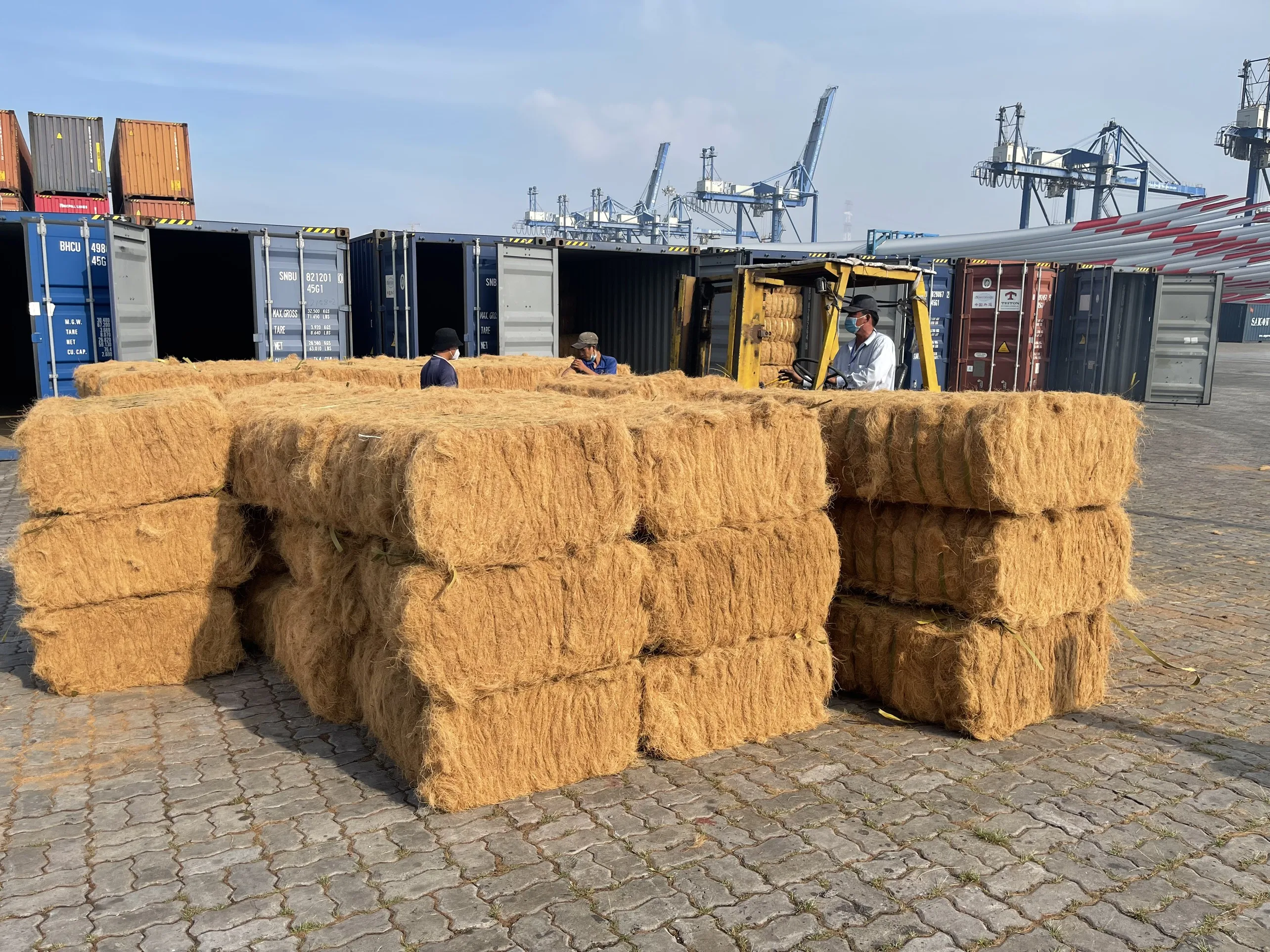 Premium Quality 2024 Export Coconut Coir Fiber 100% Natural Coconut Fiber For Mattress 20-22% Moisture Made In Viet Nam