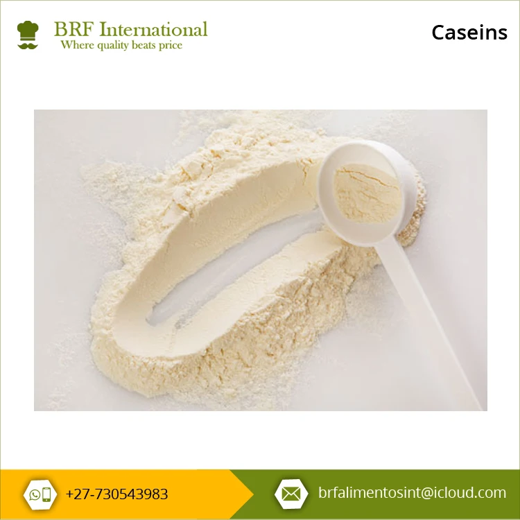 80% Caseins and 20% Whey Proteins Natural Ingredients Huge Demand Caseins Milk Powder at Least Price