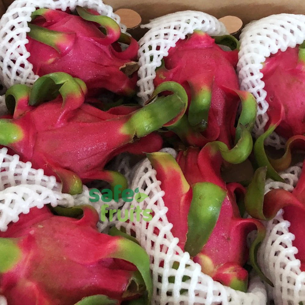 
Wholesale fresh Dragon Fruit with High quality from Vietnam 