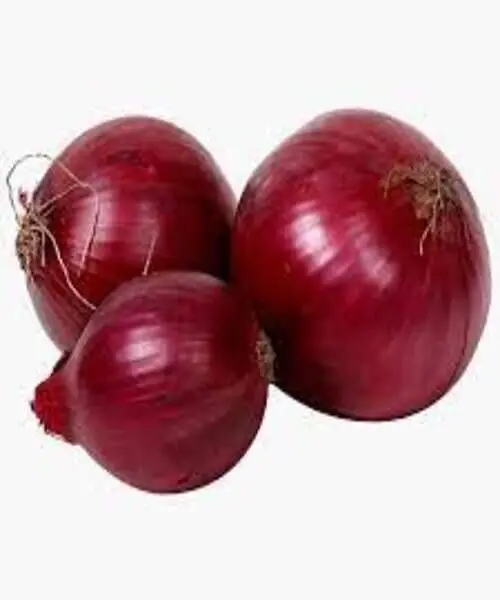 100% Natural Fresh onions from Pakistan