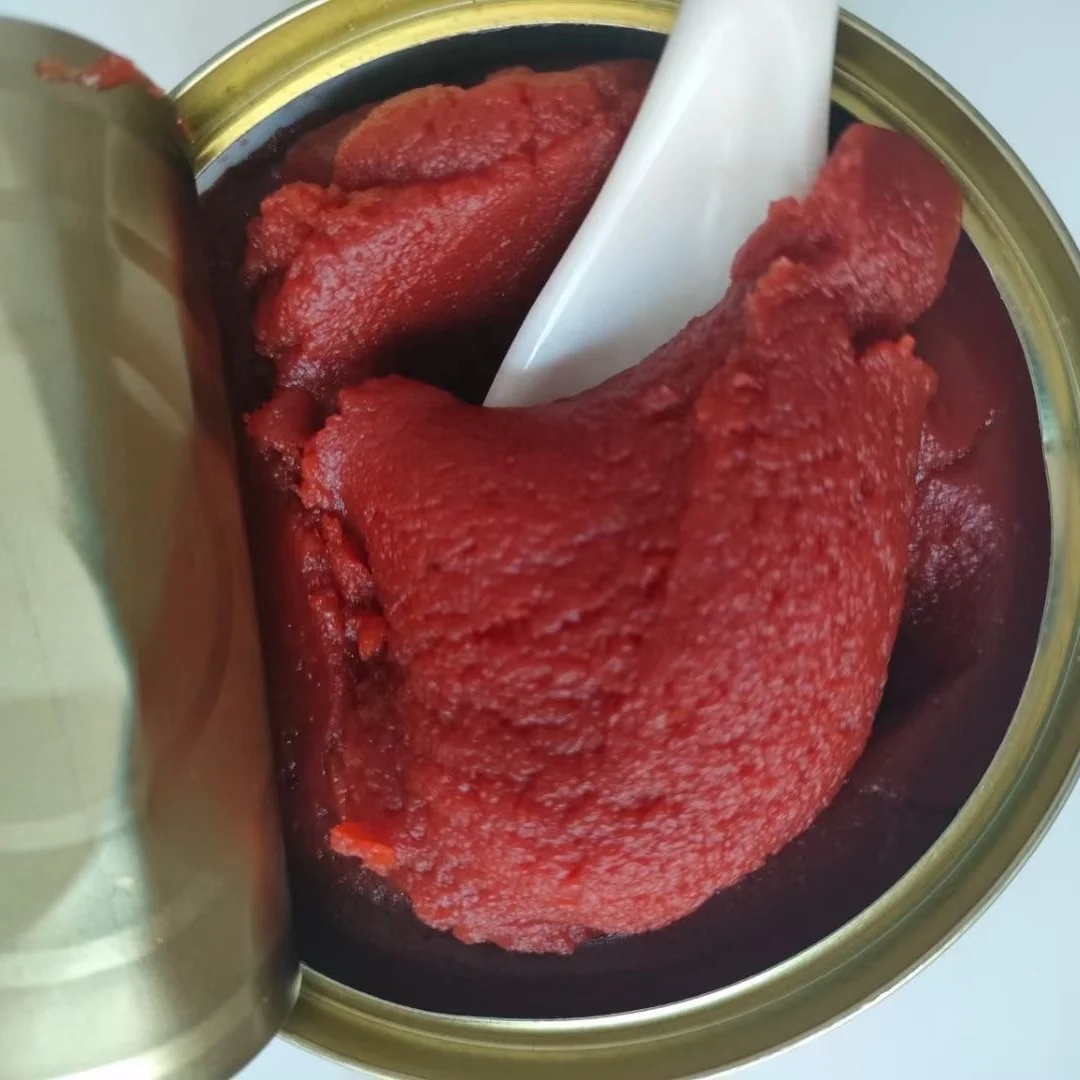 High Quality Canned Tomato Paste Tomato Ketchup Packing