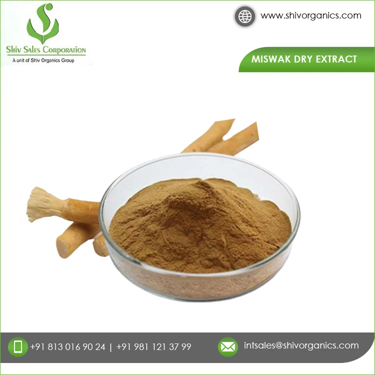 Experienced Bulk Supplier Selling Private Label Customized Logo Pure and Organic Miswak Dry Extract For Genuine Buyers