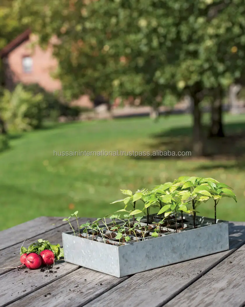 Galvanized Metal Seed Germination\Starting Tray