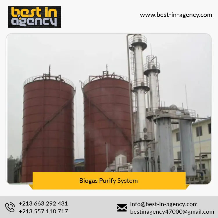 Natural Gas Water Removal Biogas Purify Decarburization System Manufacturer