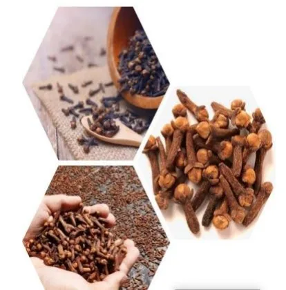 Best Quality Clove Dark Brown AB6 Origin Indonesia