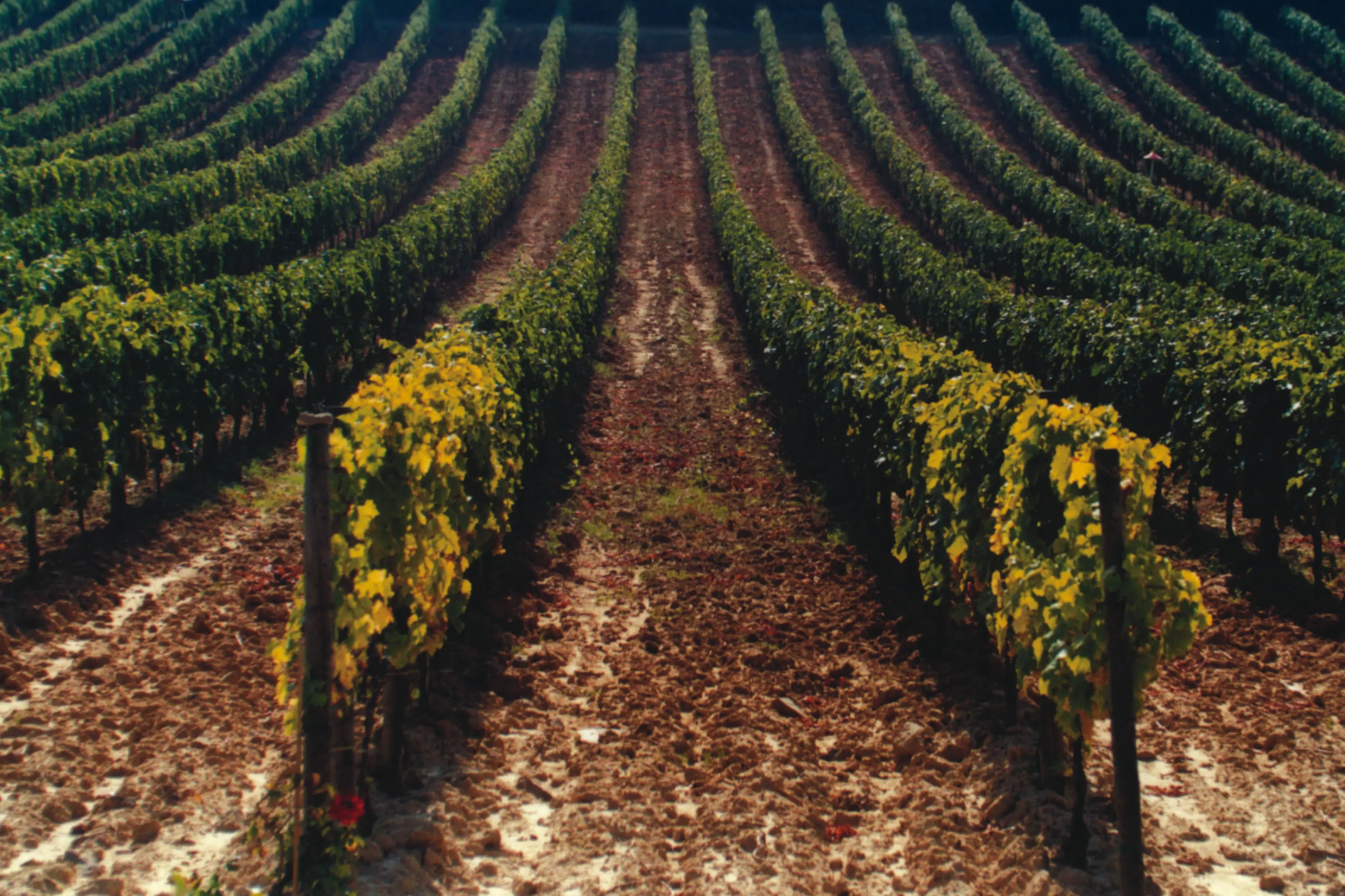 TOP QUALITY ITALIAN RED WINES SET BRUNELLO DI MONTALCINO DOCG RISERVA 2013 AND BRUNELLO DOCG MAGNUM