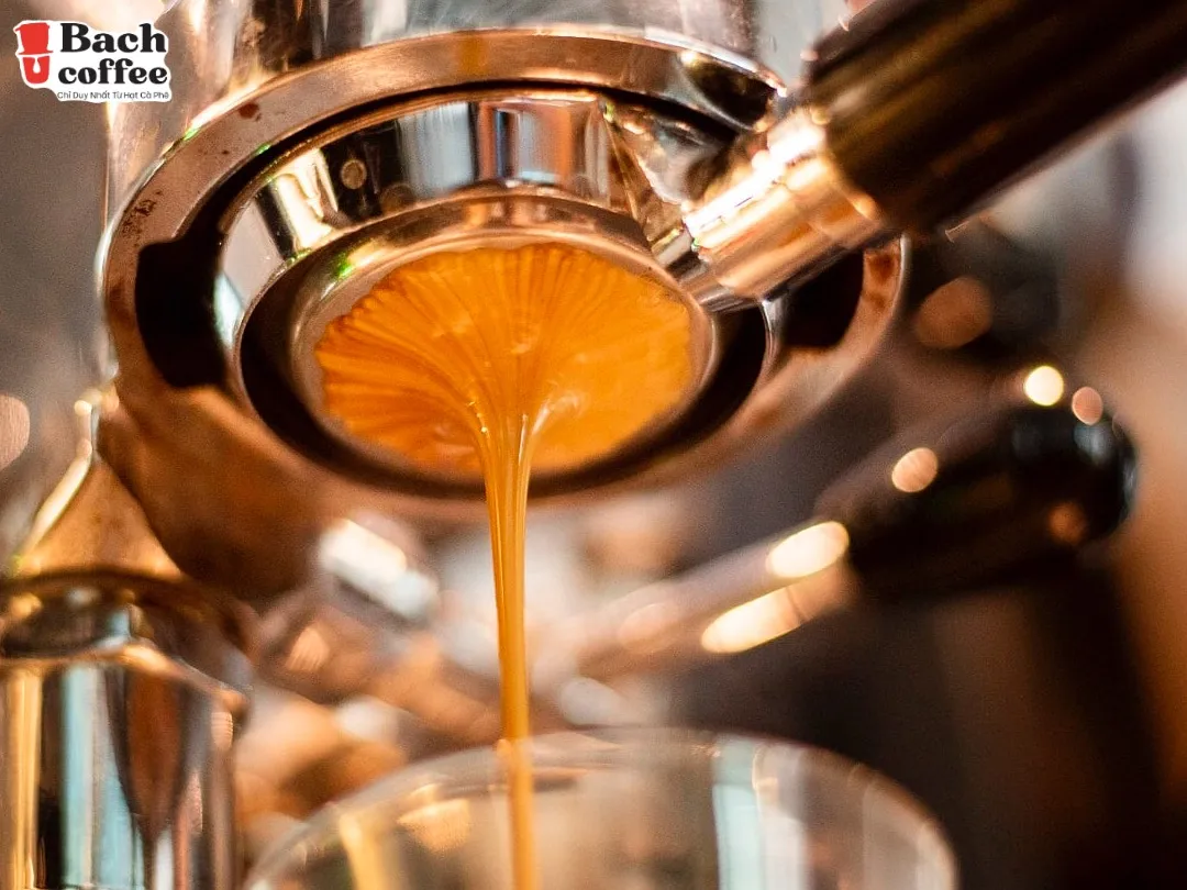 Instant Coffee (15 Servings)/ Free sugar and  non dairy creamer /Rich Medium Roast, Small Batch 100% Fair Trade Arabica Coffee