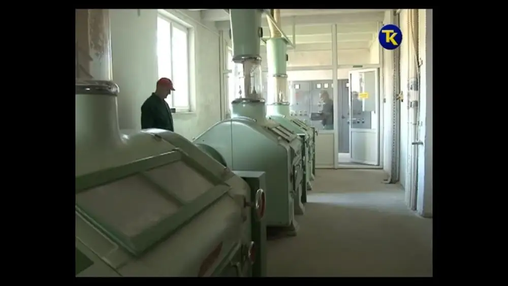 
Wheat Flour From Bosnia/Herzegovina Factory 