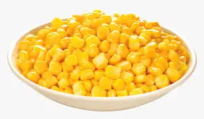 Good Quality Fresh Corn