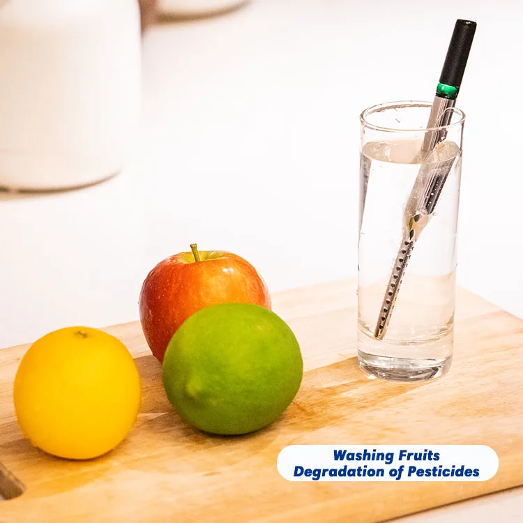 Water Magician Portable Ozone Water Generator ozone generator