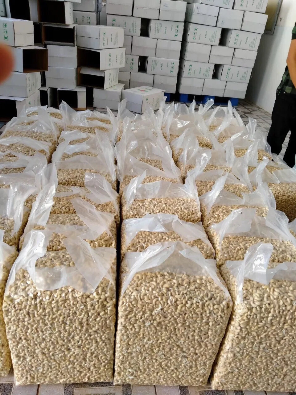 Cashew nuts cashew nuts price is best in the world 2021